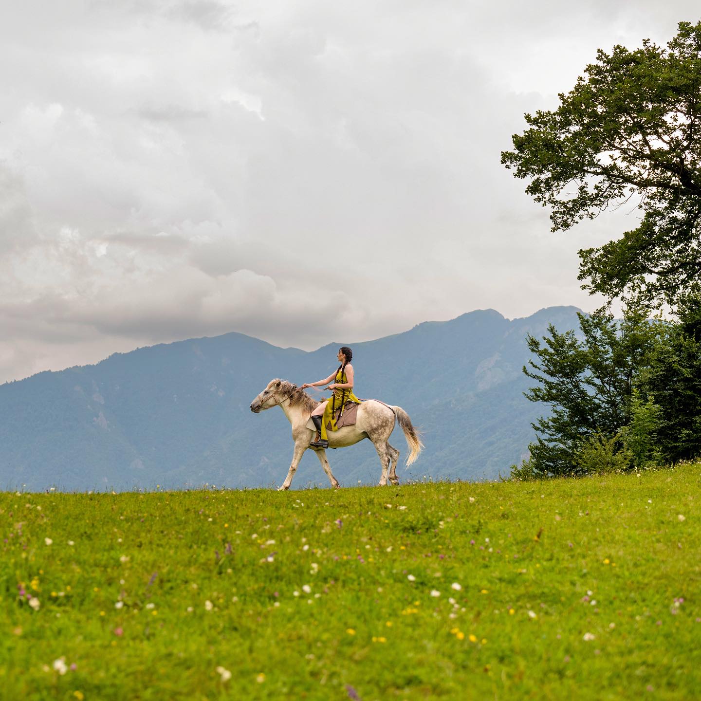 Հաղարծին + ձիավարություն