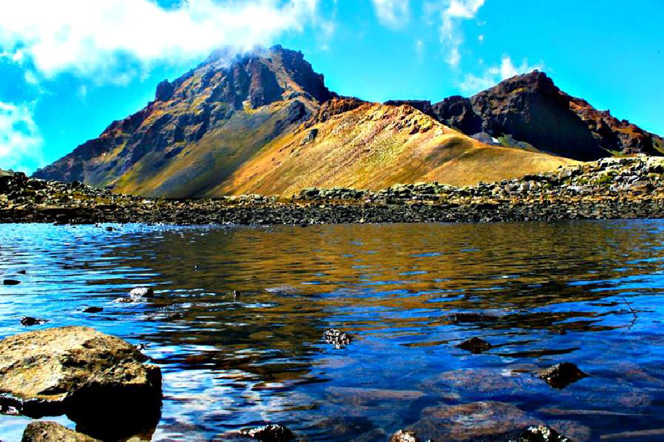 Ուղտասար